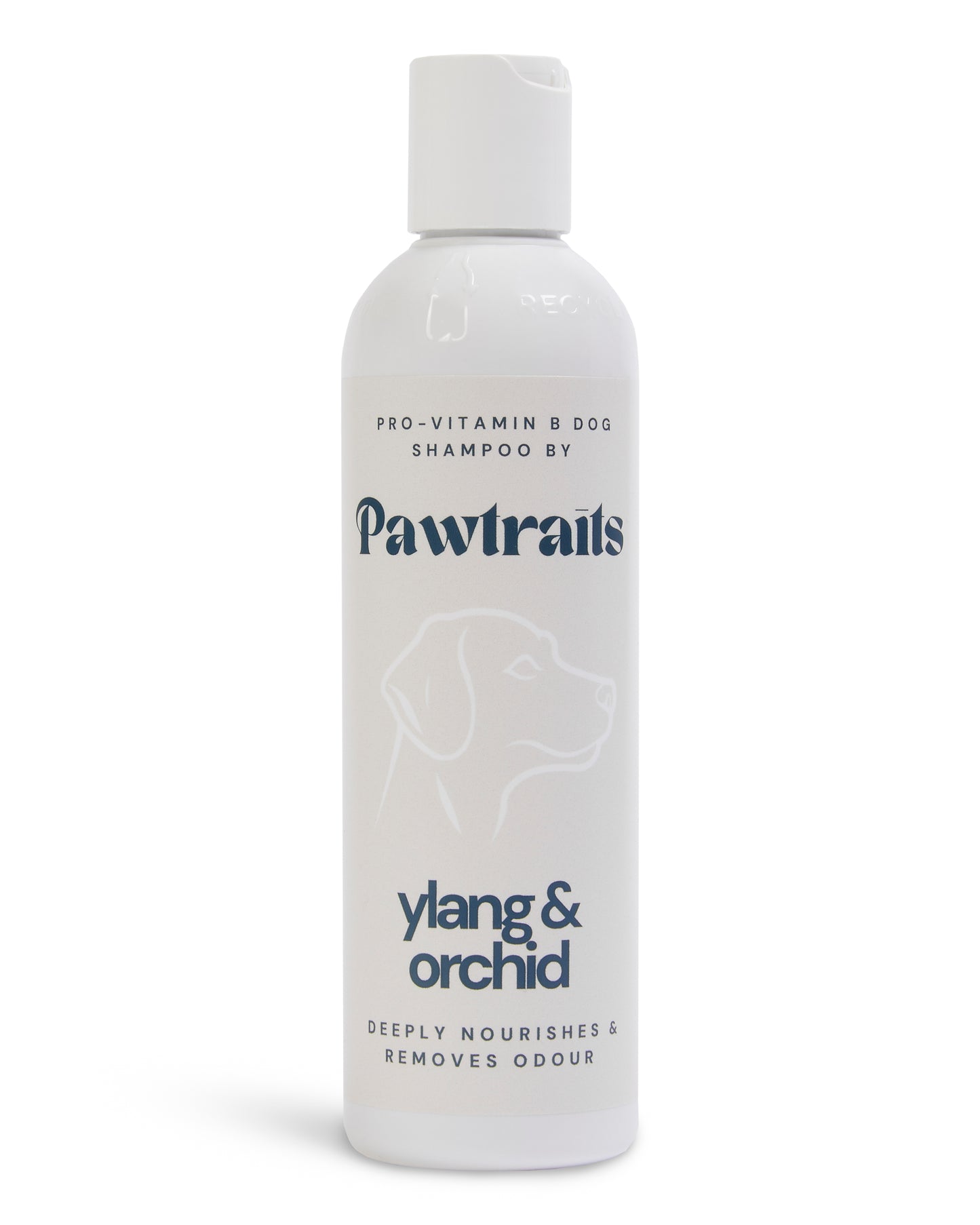 Pawtraits Ylang & Orchid Dog Shampoo