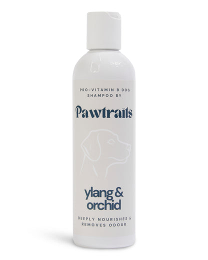 Pawtraits Ylang & Orchid Dog Shampoo