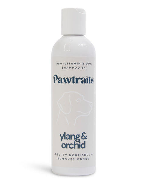 Pawtraits Ylang & Orchid Dog Shampoo