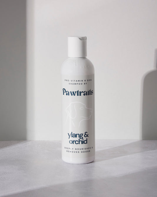 Pawtraits Ylang & Orchid Dog Shampoo